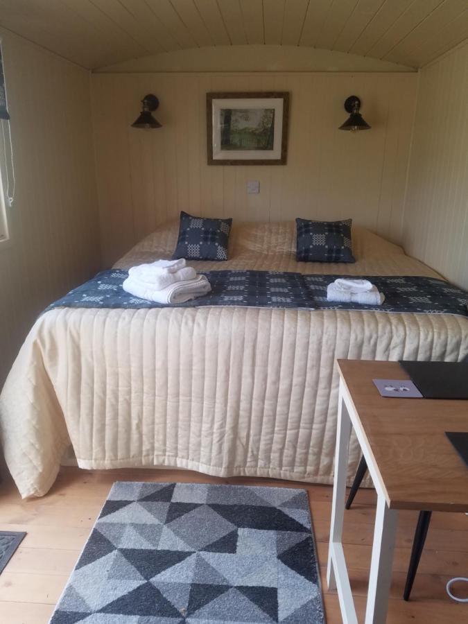 Rhydydefaid Cwt Clyd - Cosy Hut Villa Bala Luaran gambar